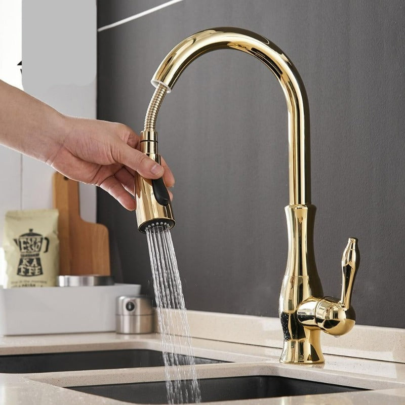 Pull-Out Kitchen Tap
